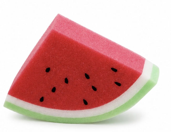 Dish Fruit Sponge
